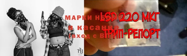 PSILOCYBIN Абаза