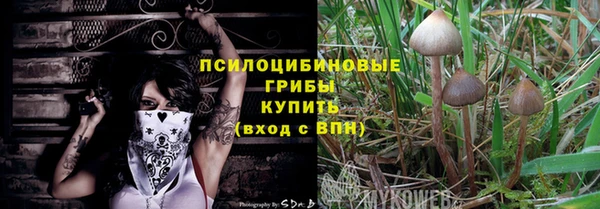 PSILOCYBIN Абаза