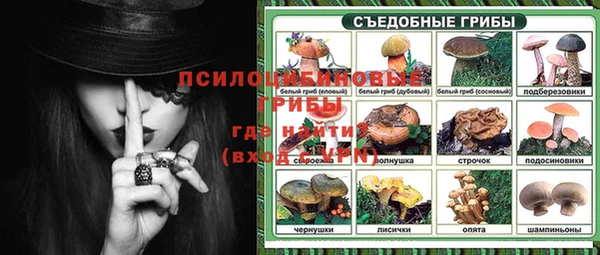 PSILOCYBIN Абинск