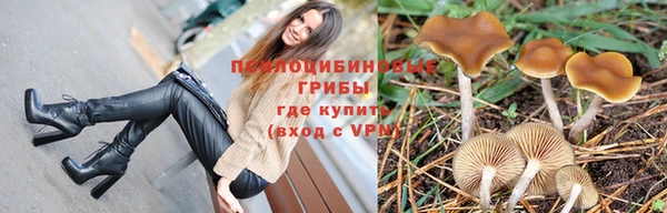 PSILOCYBIN Абинск