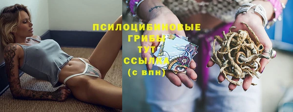 PSILOCYBIN Абинск