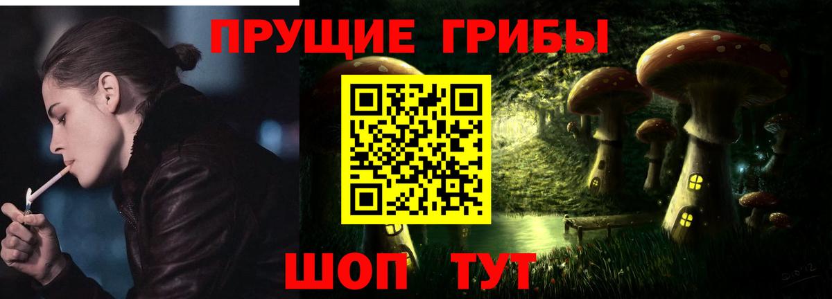 Избербаш  Псилоцибиновые грибы Magic Shrooms  Вход с VPN  как найти   Псилоцибиновые грибы Psilocybine cubensis 